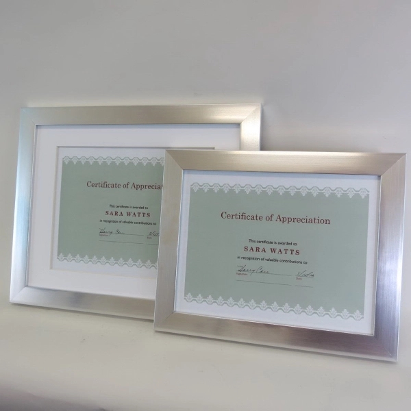 Silver Polymer Document Frame - 8.5x11