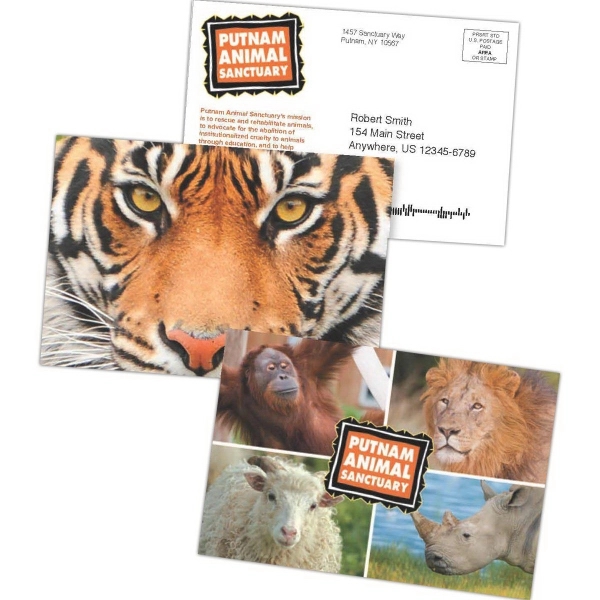 6" x 9" Lenticular Postcard w/ Full-Color Front and Back