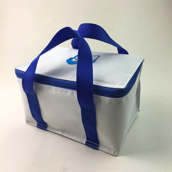 mini cooler pouch
