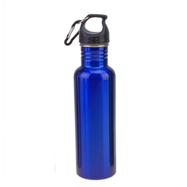 17 oz Stainless Steel Water Bottle with Carabiner