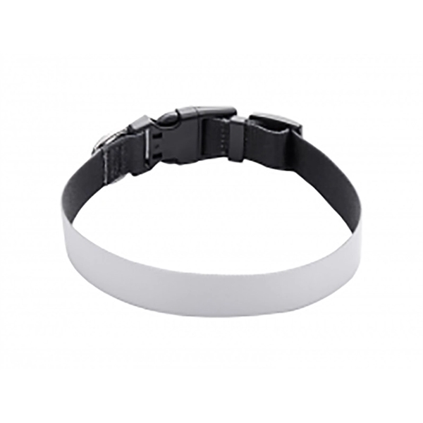 1" x 18" Dog Collar