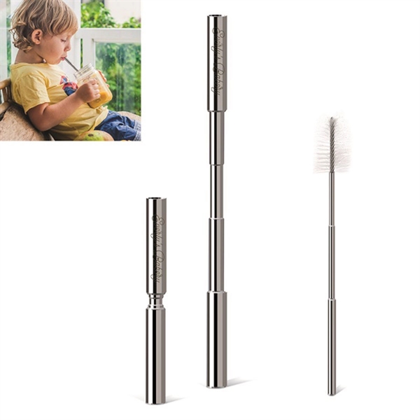 Expandable Stainless Steel Straw With Case