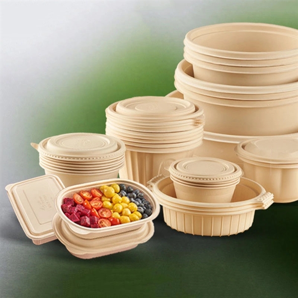 Biodegradable Takeout Food Container