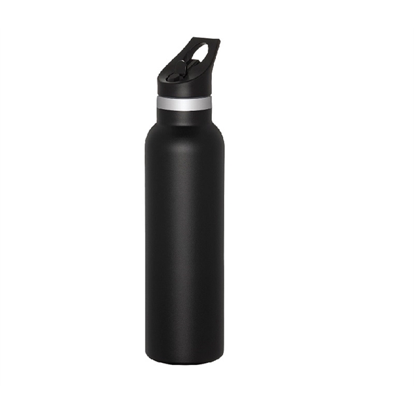 Double Wall Stainless Steel Water Bottle with Straw, 20 oz.