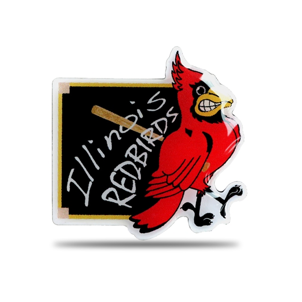 Custom Shaped Printed Pins