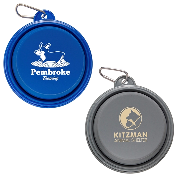 Feed N Go Collapsible Pet Bowl with Carabiner