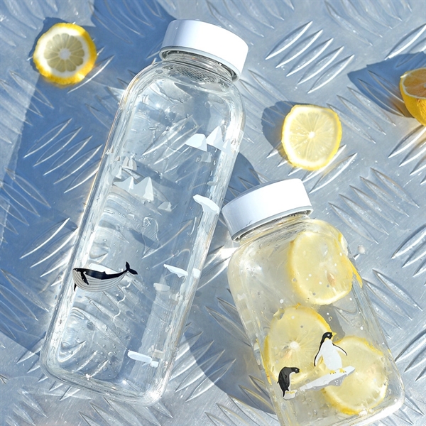 Eco Friendly Clear Glass Bottles with Lids