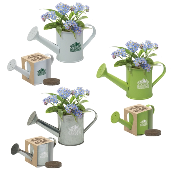 Mini Watering Can Blossom Kit