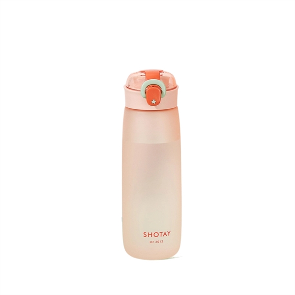 20 oz Leakproof flip Top Lid Frosted Water Bottle
