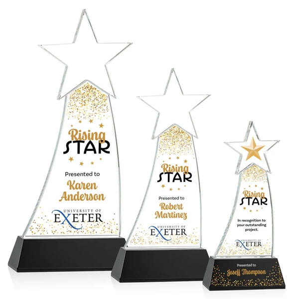 Manolita VividPrint™ Award - Black