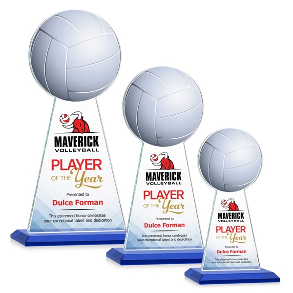 Edenwood Volleyball VividPrint™ Award - Blue