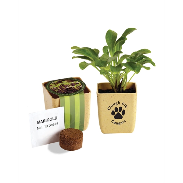 Prime Line Flower Pot Set With Marigold Seeds