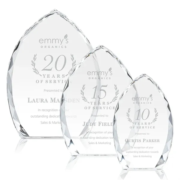 Wilton Award - Clear