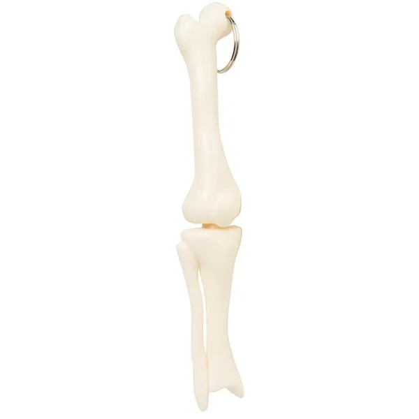 Knee Joint Bone Keyring