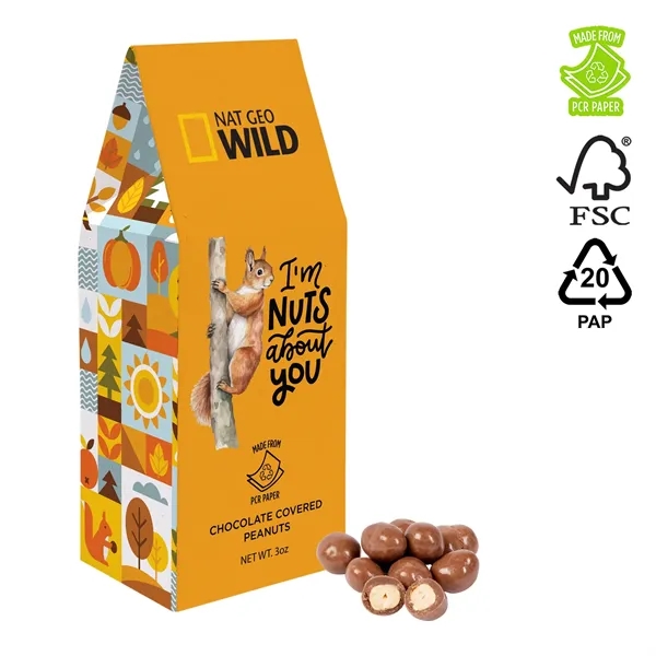 Eco Gable Box- Chocolate Peanuts