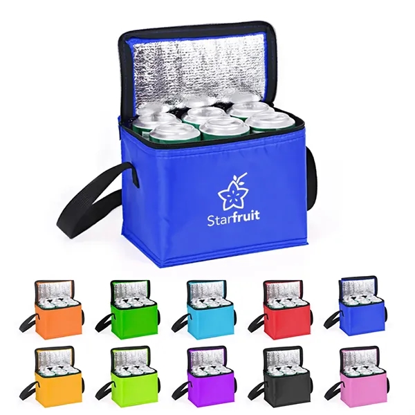 6 Can Non Woven Insulated Cooler Lunch Bag