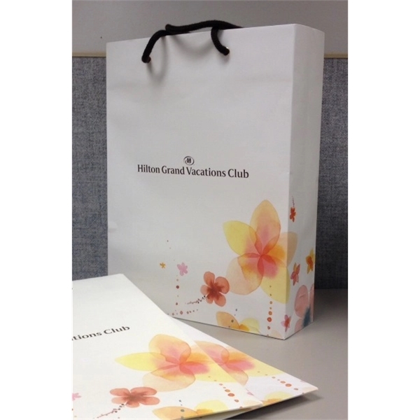 CUSTOM IMPORT: gift bags, any size/color-Request Quote