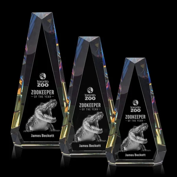 Carmel 3D Award - Prismatic