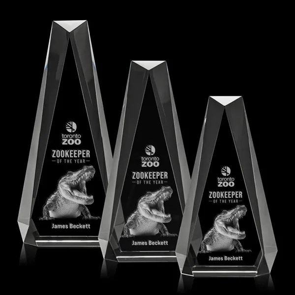 Carmel 3D Award - Clear