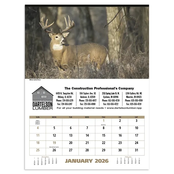 North American Wildlife