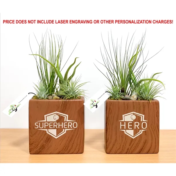 4" Woodgrain Rectangle Vase with Air Plants