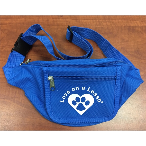 Fanny Pack With Organizer