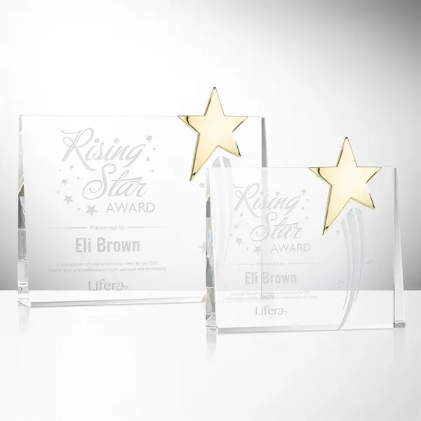 Bradenton Gold Star Award