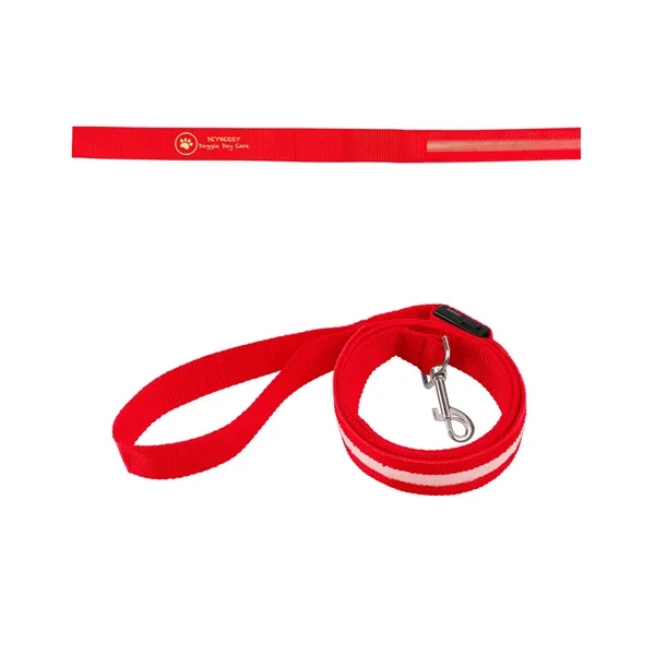 Rechargeable LED Light-Up Dog Leash