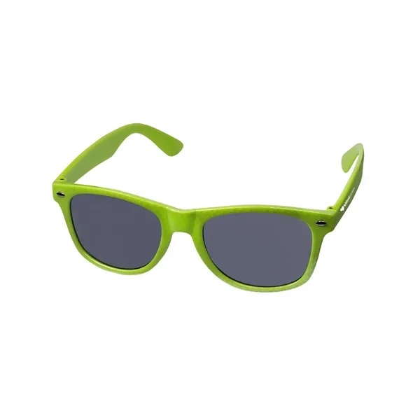 Carbon Fiber Retro Sunglasses.