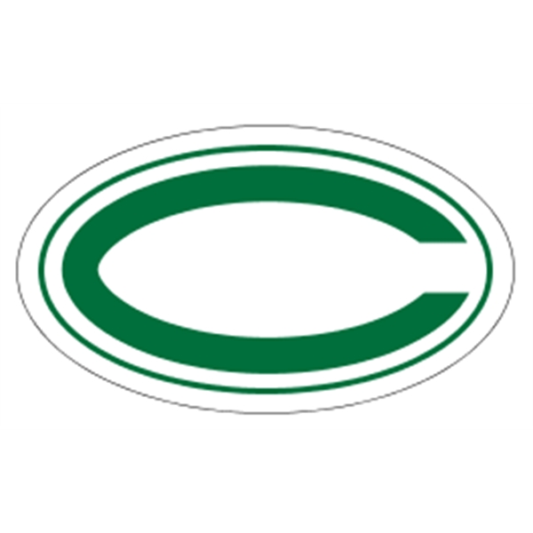 Premium Helmet Decals - White Vinyl