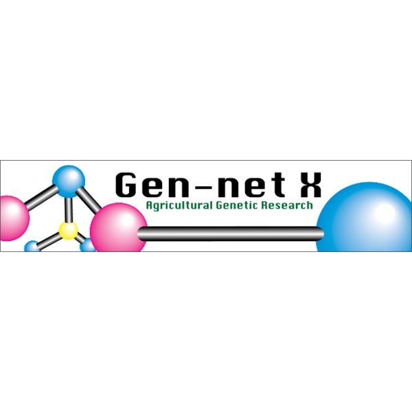 9.25" x 2.0625" Bumper Sticker 4CP