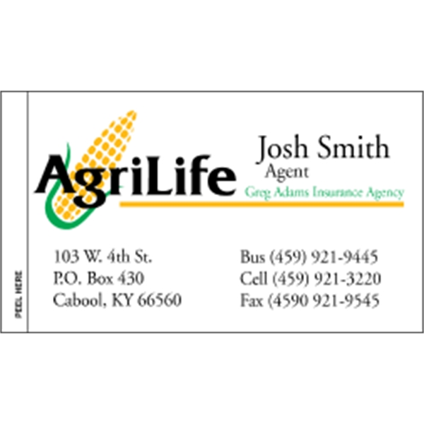 Appointment Business Card