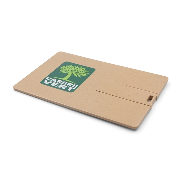 CARD  USB Flash Drive