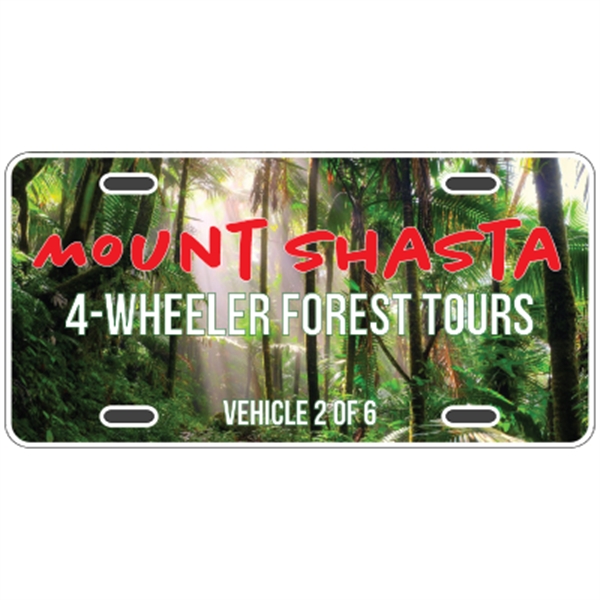 4CP Car Plate - 6-Ply All-Weather Card Stock