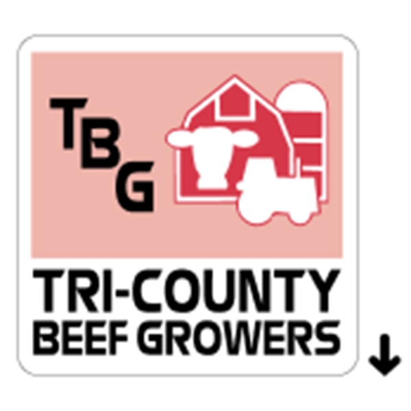 2" x 2" Square Roll Label