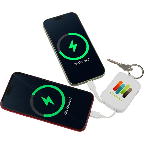 My Jolt 2000 mAh Power Bank with Integrated Cables