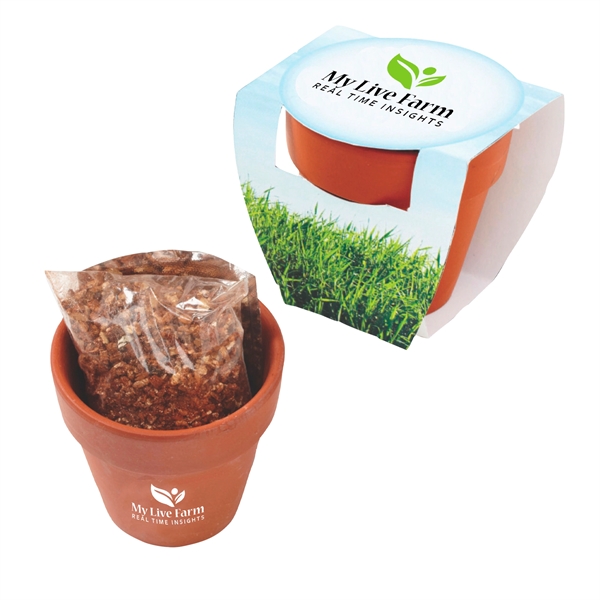 Seed Sensations Terracotta Pot Planter