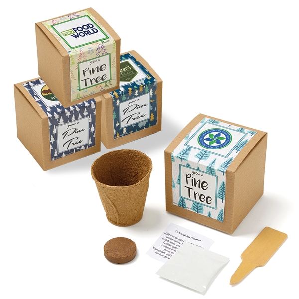 Pine Tree Seed Growables Planter in Kraft Gift Box