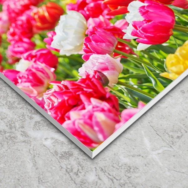 18" x 24" 3mm Foam PVC - Double Sided