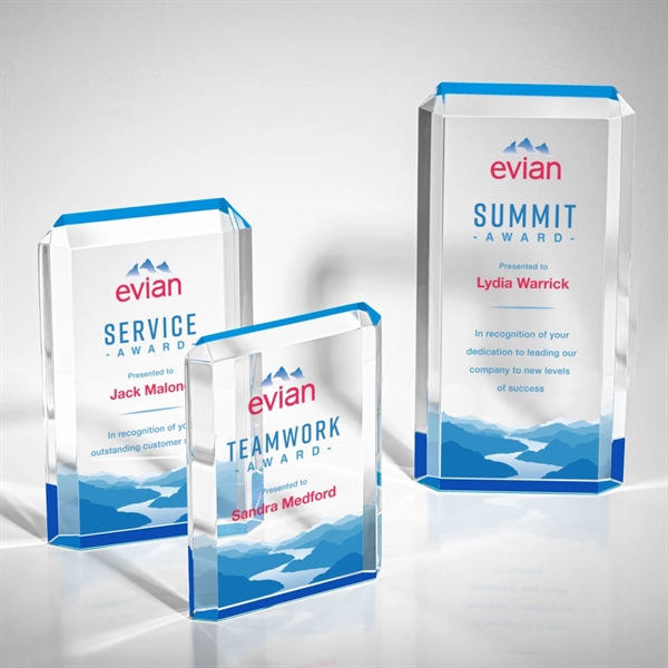 Paragon VividPrint™ Award