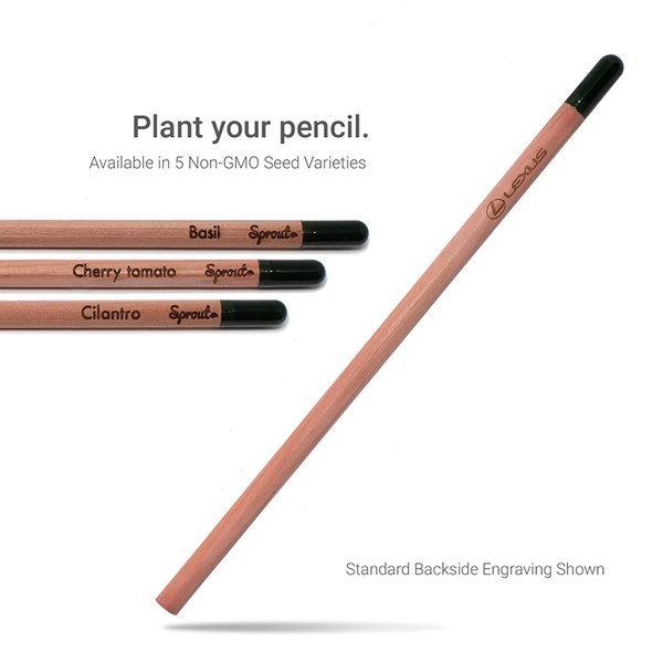 Sprout Pencil that you plant after you use - Rush production