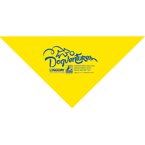 Small Triangle Solid Bandanna - Imported