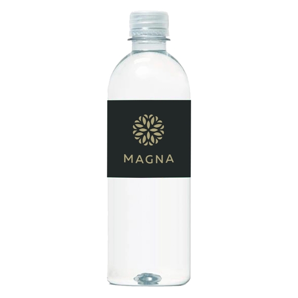 16.9 oz Bottled Water