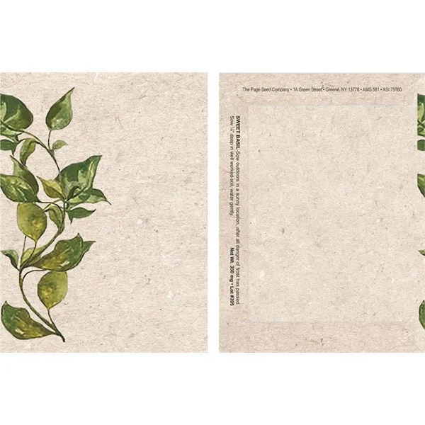 Watercolor Series Sweet Basil Seeds