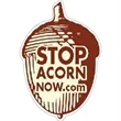 Acorn Magnet