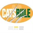 Full Color Oval Stock Bumper Sticker