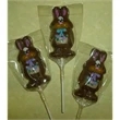Bunny Pop