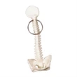 Spine Shaped Keyring