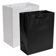 Matte Laminated Color Eurotote