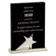 Black Piano Finish Standing Desk Award Plaque Star